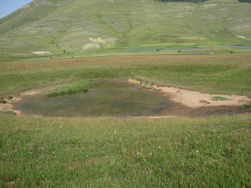in alta quota nei miei Sibillini
